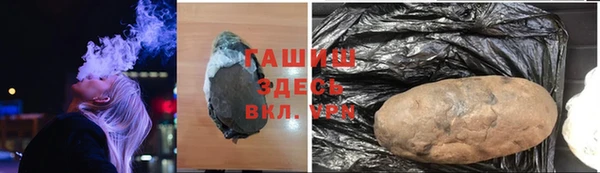 бошки Тайга