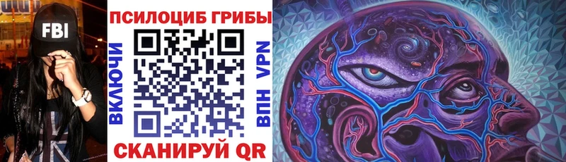 наркошоп  Ермолино  Псилоцибиновые грибы Cubensis 